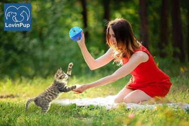 Іграшка для котів LOVINPUP, набір з 3 м'ячиків з дзвіночком, великі кульки для котів і кошенят, синій колір