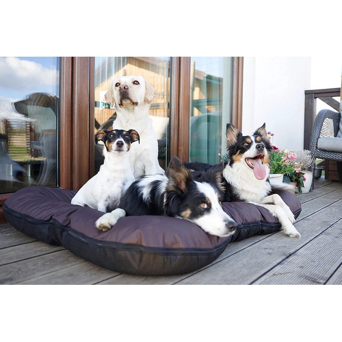 Ліжко для собак середніх порід 4L Textil KLEO, 90x70 см, бежеве, з блискавкою. Ліжко-матрац для собак, вовнове, знімний чохол, легко миється.