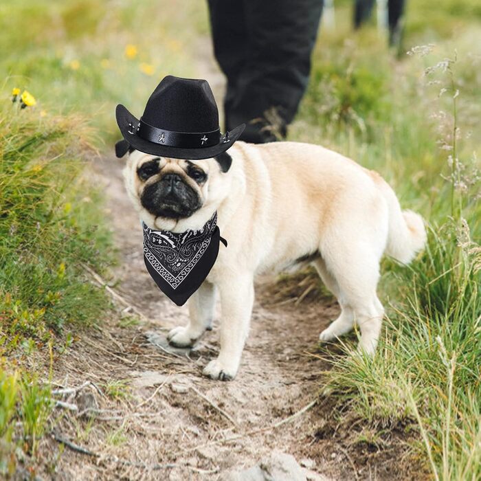 Костюм ковбоя для собак та котів Yewong, 2 шт. (капелюх + бандана)