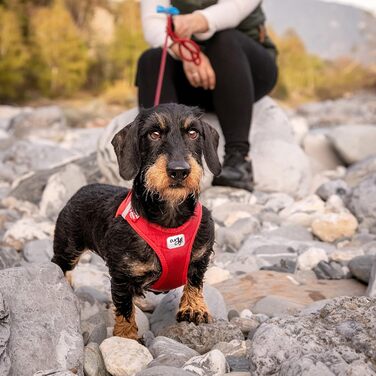 Шлейка для собак Curli Clasp Softshell, червона, 2XS