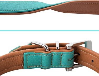 Шкіряне нашийник для собак Fun Line - великий, середній та маленький розмір - м'який та міцний (M, 28-36 см, Турквіз-Коричневий)