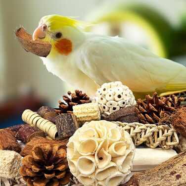 Іграшка для птахів Felicity, іграшка для папуг, іграшка для гризучих птахів, жувальна іграшка для птахів, аксесуари для клітки, аксесуари для хвилястих папужок, підходить для корел, хвилястих папужок та інших птахів