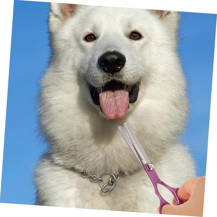 Набір інструментів для грумінгу собак: ножиці для догляду за шерстю, нержавіюча сталь Rosy