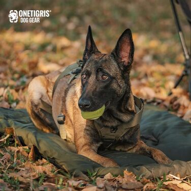 OneTigris килимок для собак 130 x 85 см, водонепроникний, м'який, для подорожей, кемпінгу, відпочинку на вулиці - оливковий, L 130 x 85 x 2 см