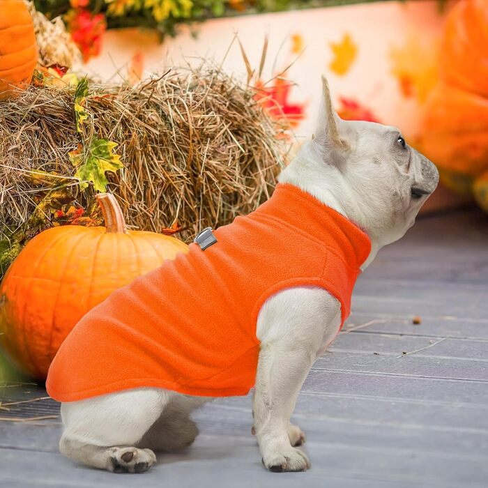 Світшот для собак BEAUTYZOO з капюшоном, з кишенею та отвором для повідка, еластичний, для малих, середніх та великих собак, одяг для осені, зими, холодних днів, теплі дизайнерські куртки для собак, M/L (Спина: 46 см, Груди: 64 см, Шия: 38 см) (Помаранчев