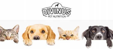 Повний сухий корм для дорослих собак Divinus Dog з вітамінами, 20 кг