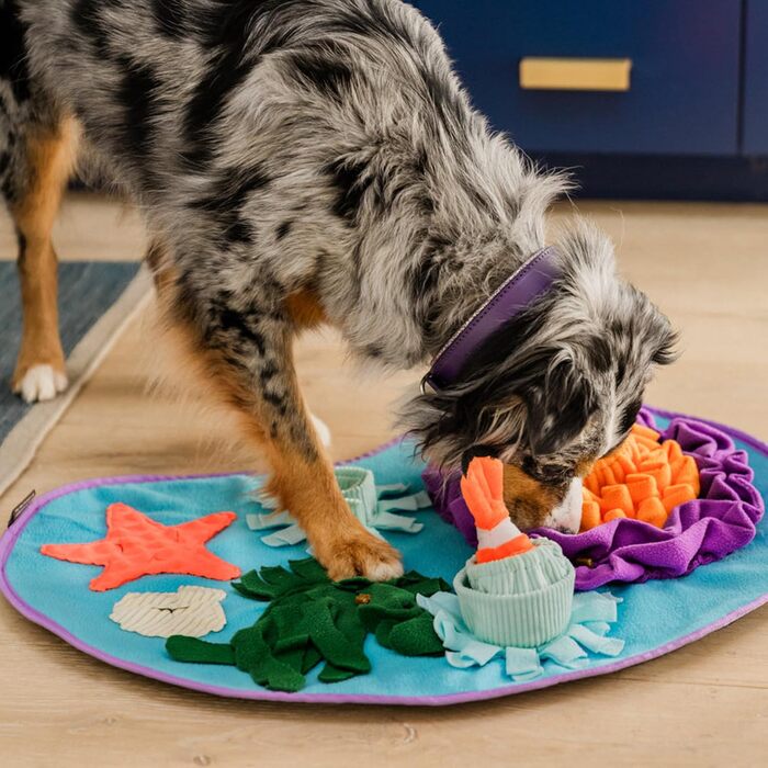 Інтерактивна килимок-нюхалка для собак P.L.A.Y. з морською тематикою, для цуценят та собак всіх розмірів, іграшка-головоломка для повільного годування та тренування нюху