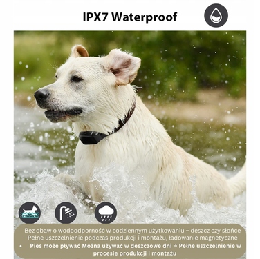 Тренувальний електронашийник для собак: корекційний пристрій для дресирування