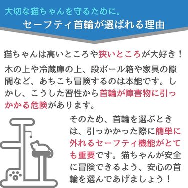 Нашийник для котів Rogz з безпечною застібкою та світловідбиваючими елементами (Чорна кішка) чорний/білий (Жовтий/Рожевий, 20,3-30,5 см)