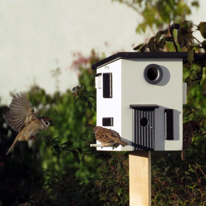 Дерев'яний комбінований годівничка та шпаківня Wildlife Garden WG108 Multiholk Bauhaus