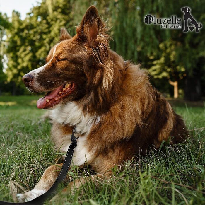 Рулетка для собак до 20 кг Bluzelle з відбиваючими смугами, 5 м, міцний карабін, найнадійніша гальма, нейлоновий ремінь, ергономічна ручка