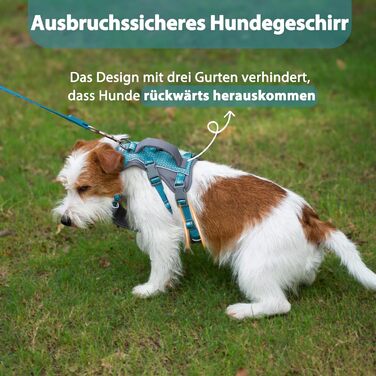 Нашийник-шлейка Huntboo для собак, анти-випадковий вихід, для панічних собак, світловідбиваючий нашийник з ручкою, регульований (S, 1 шт., блакитно-зелений)