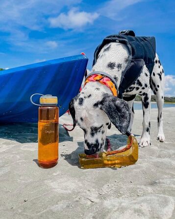 Пляшка для води OllyDog 1 л Flame, для тварин, пластикова