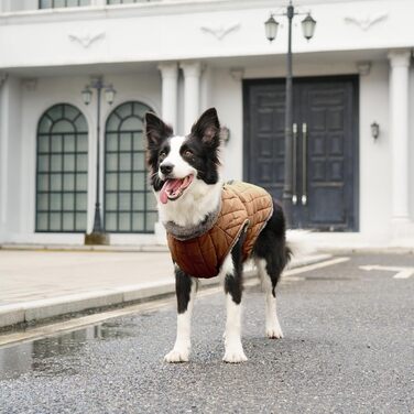 Теплий флісовий одяг для собак JoyDaog, D-кільця, водонепроникна куртка для цуценят на зиму, червоний, розмір S