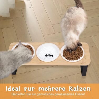 Набір мисок для котів BBWELL Ceramic: 3 шт. з кераміки, похил 15°, антиковзний бамбук, для котів та маленьких собак