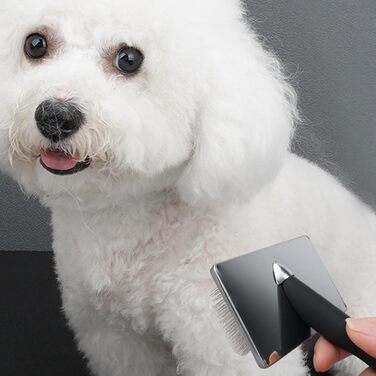 Щітка для собак та котів: масажна, для видалення підшерстя та вичісування - аксесуари для грумінгу