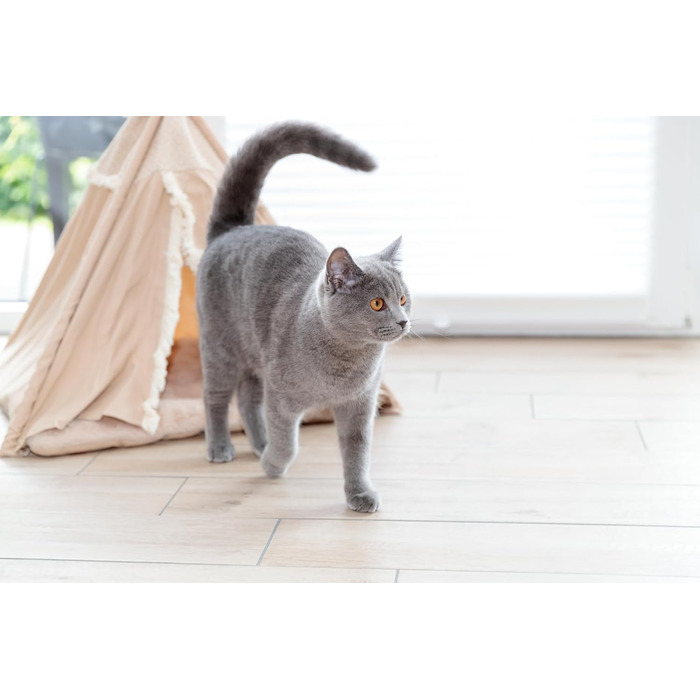 Тipi для собак та котів Trixie Boho з антиковзким покриттям, бежевий, 55x65x55 см - з знімним, пральним подушечкою