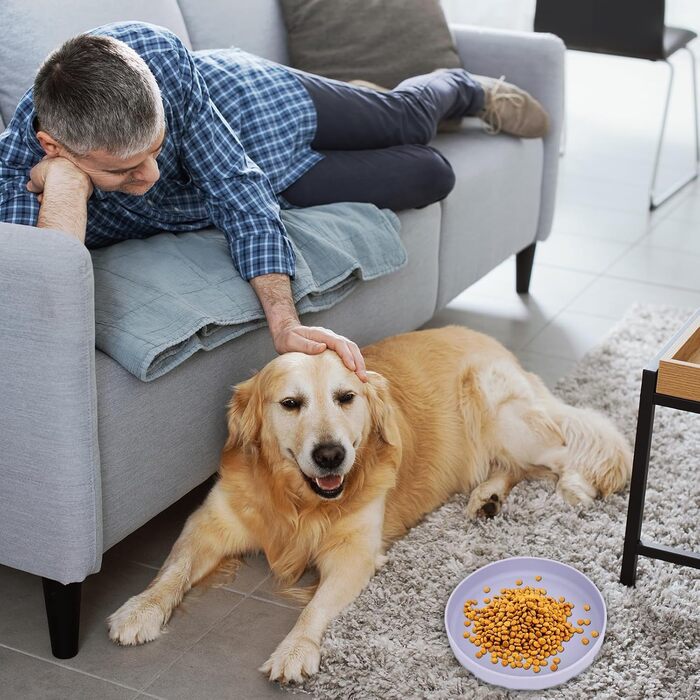 Набір мисок для котів (3 шт.) - зелений, рожевий, фіолетовий, 18 см, силікон, для сухого та вологого корму