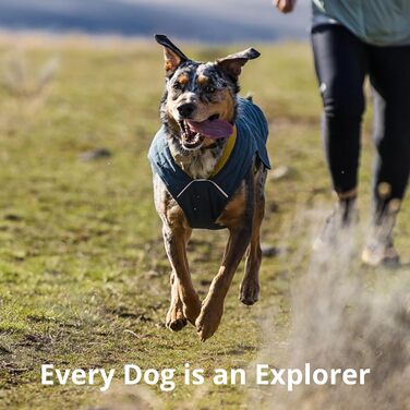 Куртка для собак RUFFWEAR Stumptown, зелена, S – утеплена, стильна, з отвором для шлейки, зносостійка, преміум-якість