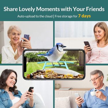 NETVUE Birdfy розумна годівниця для птахів з камерою, Wi-Fi, сонячною панеллю та безкоштовною AI-ідентифікацією птахів, автоматичний відеозапис, синя