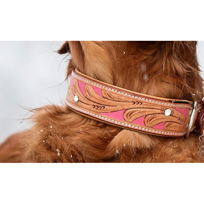 Нашийник для собак Pinklady Leder: шкіряний нашийник для собак, бежевий, карамельний, коричневий, рожевий, з декоративними елементами та стразами, обхват 35-43 см