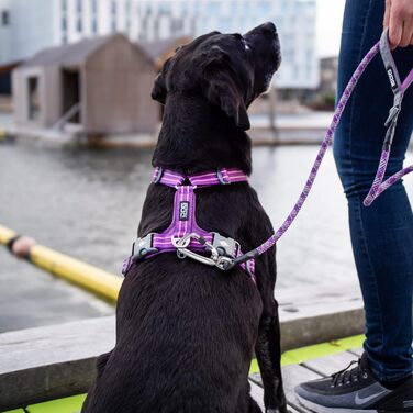 Повідок-водилка DOG Copenhagen Urban Rope, розмір S, колір мокко