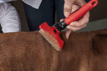 Гребінець для собак та котів EHASO для видалення підшерстя, 100 мм - підходить для довгої та короткої шерсті