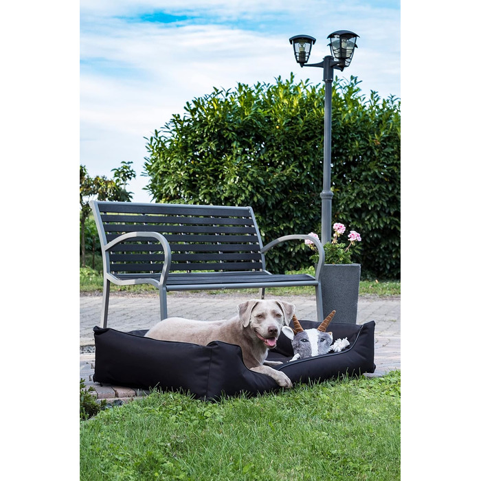 Лебон - Ортопедичне ліжко для собак Паула Плюс, Чорний колір - 3 розміри (80, 100, 120 см), з блискавкою, для прання, легко чиститься, водовідштовхувальне (XL)
