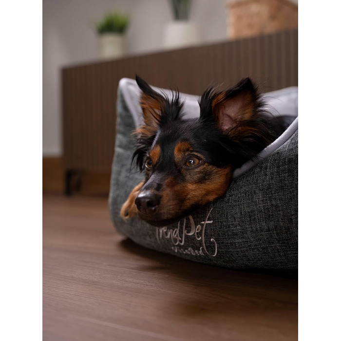 TrendPet VitaBed: ортопедичне собаче ліжко з Memory Foam (60x50 см)