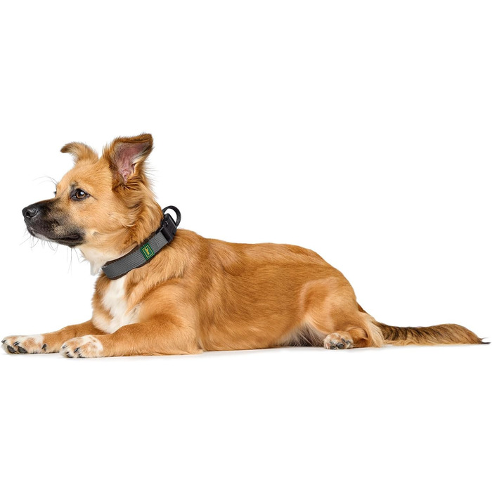 Крісло HUNTER Hasband Madon: дихаюче сітчасте полотно, міцний нейлон, гіпоалергенне, з регулюванням натягу, вбудований адресник, розмір S, коричневе