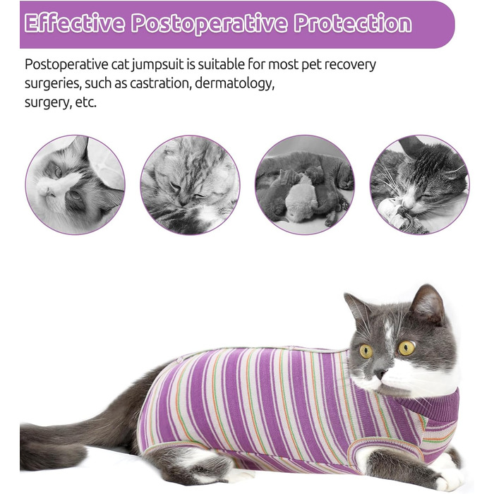 Одяг для котів після операції Citétoile: комбінезон для захисту животика, альтернатива E-обротню, розмір L, фіолетовий