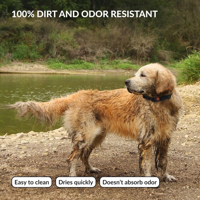 Водонепроникний нашийник для собак CollarDirect, регульований, силікон та пластик, стійкий до запахів, легко миється, з надійним затвором, для малих, середніх та великих собак (Чорний, XL (45-66 см))