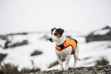 Одяг для собак Julius-K9 IDC Neopren Baby 2 чорного та UV-оранжевого кольору