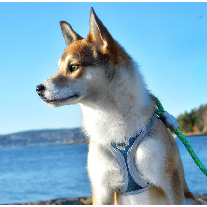 Трекінгові шкарпетки Croci Leopard - 350 г, розмір M, колір ARMY PINK