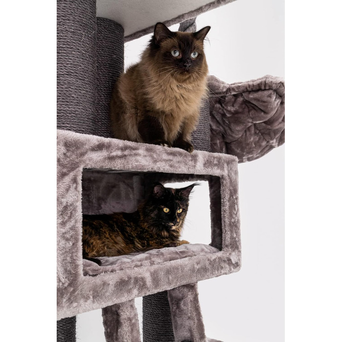 Дряпак для котів Petrebels Parklane 175 см, преміум, з XXL гамаком, спальним будиночком, диваном, товсті стовпи, кольору капучино