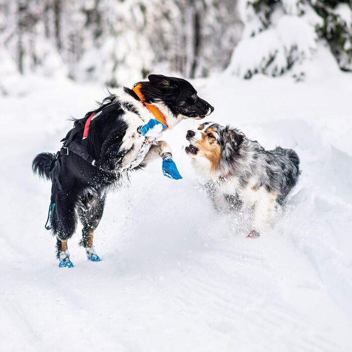 Безпечний нашийник для собак Non-stop dogwear Safe Collar 50 см