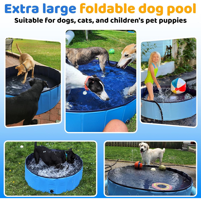 Складний басейн для собак CACSPS, 221 x 30,5 см, дитячий басейн з жорсткого пластику, неслизька ванна для собак на вулиці, задній двір, складний басейн для собак, дітей, домашніх тварин (Актуалізований, блакитний, 120 см)