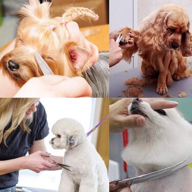 Набір професійних ножиць для грумінгу собак 9CR Edelstahl з безпечними закругленими кінцями. Комплект для догляду за шерстю собак, котів та інших тварин: ножиці для стрижки, розріджування та вирівнювання. Срібний колір.