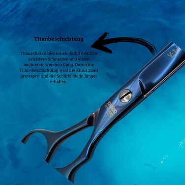 Ножиці EHASO V-1-2000 Titan, титанові, нержавіючі, 22 см