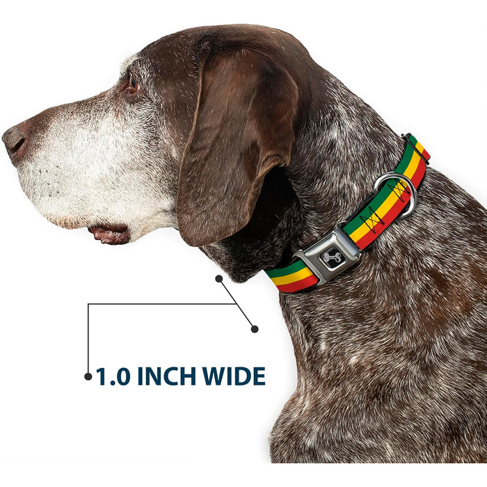 Нашийник для собак Buckle Down Rasta Bone, великий, 38,1–66 см