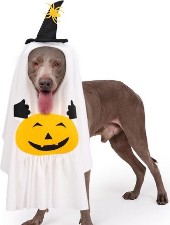 Костюм на Хелловін для домашніх тварин BT Bear, павук, для собак, розмір L, білий