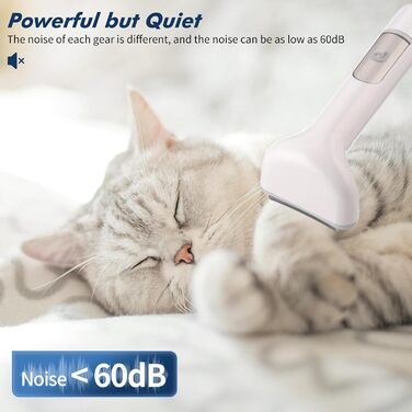 Набір для догляду за собаками Vacuum, 13,4 кПа потужність всмоктування, пилосос для видалення шерсті, догляд за шерстю тварин, об'єм 2 л, зберігання шерсті, 5 професійних інструментів для догляду за собаками та котами