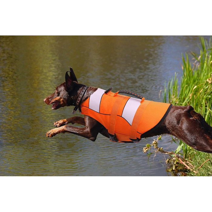 Рятувальний жилет для собак ASENKU, розмір L, оранжевий (для такс, чихуахуа, французького бульдога, лабрадора)