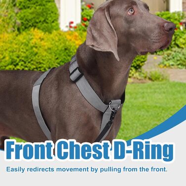 Шлейка для собак FeimaX великих порід, тактична, не тягне, дихаюча, комфортна (XL, сіра)