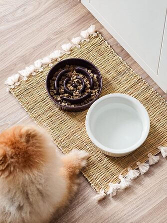 Таця для собак LE TAUCI з кераміки, антислизька таця для середніх та маленьких собак, повільне годування та розваги, таця для їжі з неслизьким дизайном (Лабіринт, фіолетовий, S-350 мл)