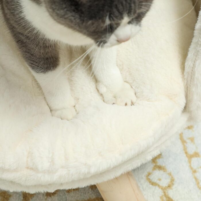 Диван для котів PawHut з подушкою, підняте ліжко для котів і собак, м'яке крісло-хокер з нековзкими дерев'яними ніжками, для дому, кремово-білий, 40,5x40,5x33 см