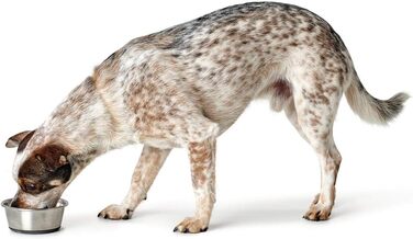 Миска для корму та води Hunter з нержавіючої сталі, 550 мл, з силіконовим неслизьким дном, легко миється, довговічна, стійка до ударів та подряпин