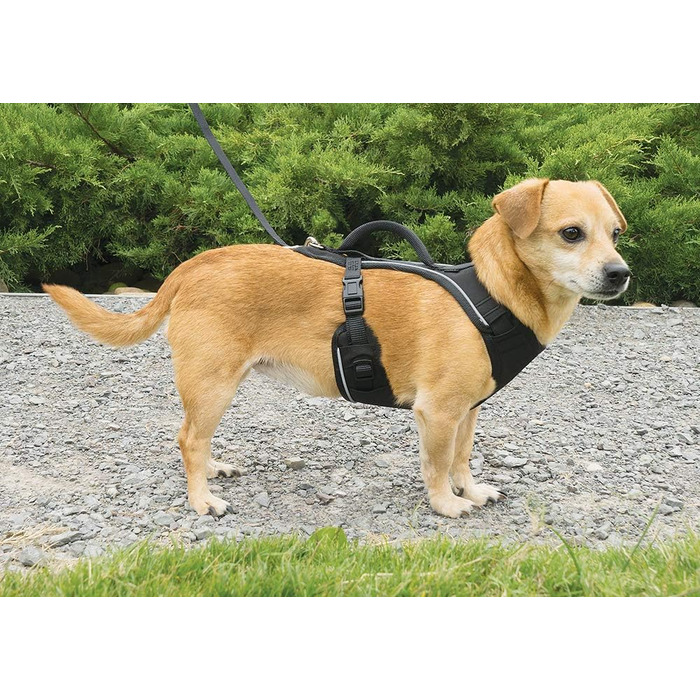 Шлейка для собак PetSafe EasySport, повністю з м'якою підкладкою, для собак 9-16,5 кг, розмір S, чорна