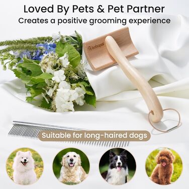 Щітка для собак з довгим хутром, для розчісування та видалення ковтунів, дерев'яна (бук), розмір M