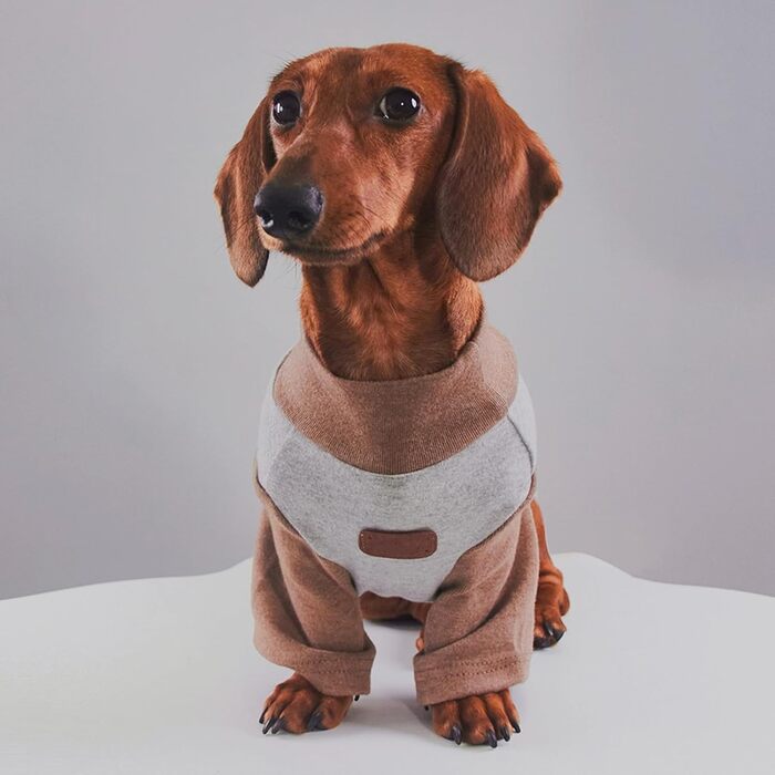 Комбінезон для собак - теплий вишиваний, бавовна, синій, L - для дрібних та середніх порід